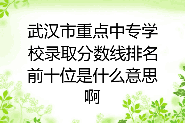 武汉市重点中专学校录取分数线排名前十位是什么意思啊