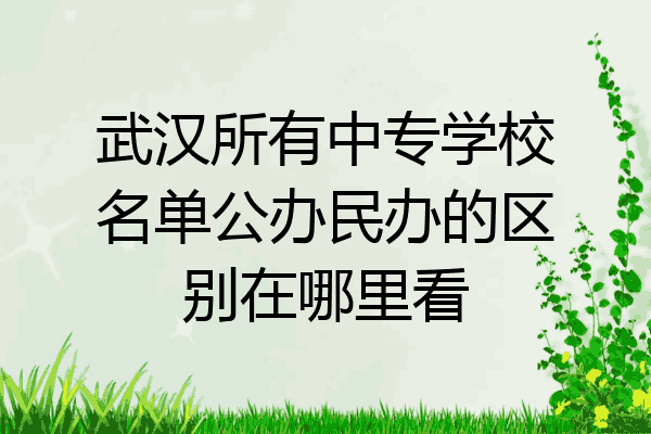 武汉所有中专学校名单公办民办的区别在哪里看