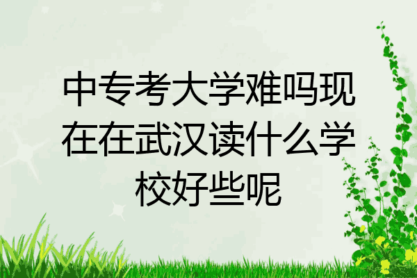 中专考大学难吗现在在武汉读什么学校好些呢