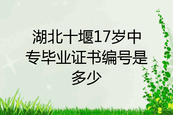 湖北十堰17岁中专毕业证书编号是多少