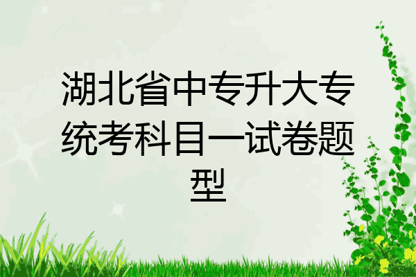 湖北省中专升大专统考科目一试卷题型