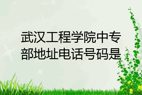 武汉工程学院中专部地址电话号码是