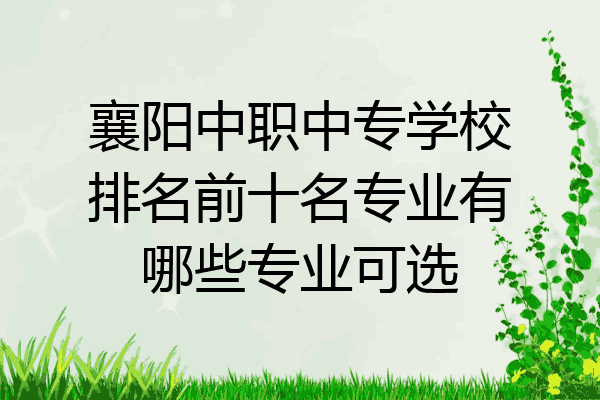 襄阳中职中专学校排名前十名专业有哪些专业可选