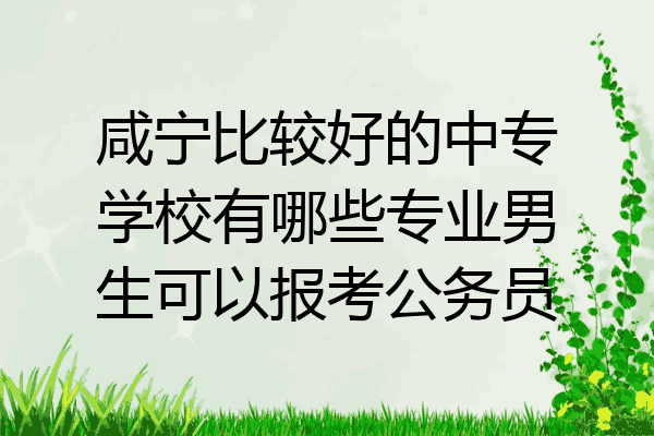 咸宁比较好的中专学校有哪些专业男生可以报考公务员