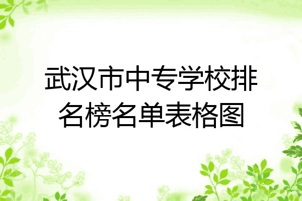 武汉市中专学校排名榜名单表格图