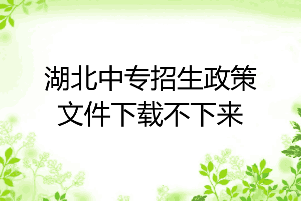 湖北中专招生政策文件下载不下来