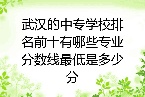 武汉的中专学校排名前十有哪些专业分数线最低是多少分