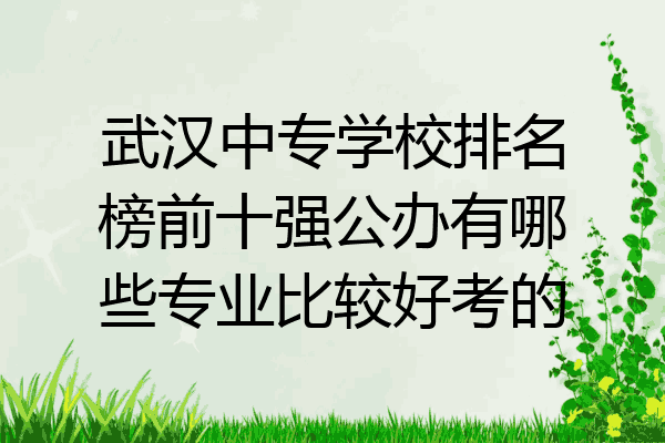 武汉中专学校排名榜前十强公办有哪些专业比较好考的