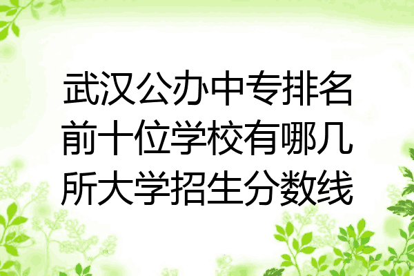 武汉公办中专排名前十位学校有哪几所大学招生分数线