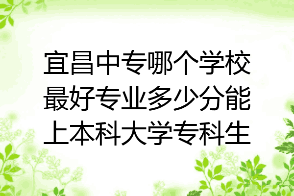 宜昌中专哪个学校最好专业多少分能上本科大学专科生