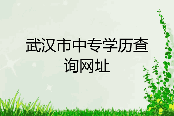 武汉市中专学历查询网址