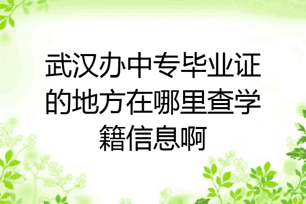 武汉办中专毕业证的地方在哪里查学籍信息啊