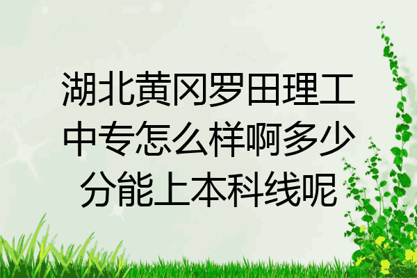 湖北黄冈罗田理工中专怎么样啊多少分能上本科线呢