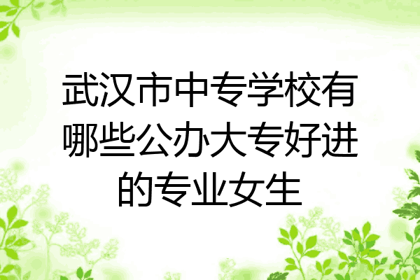 武汉市中专学校有哪些公办大专好进的专业女生