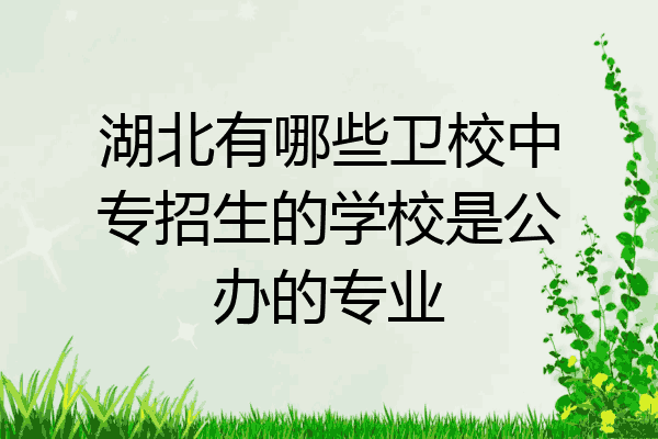 湖北有哪些卫校中专招生的学校是公办的专业