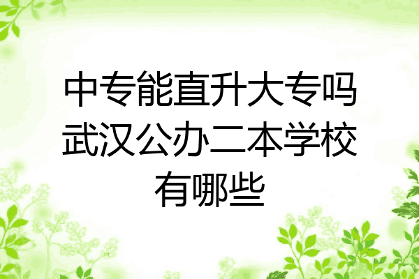 中专能直升大专吗武汉公办二本学校有哪些