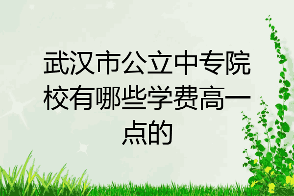 武汉市公立中专院校有哪些学费高一点的