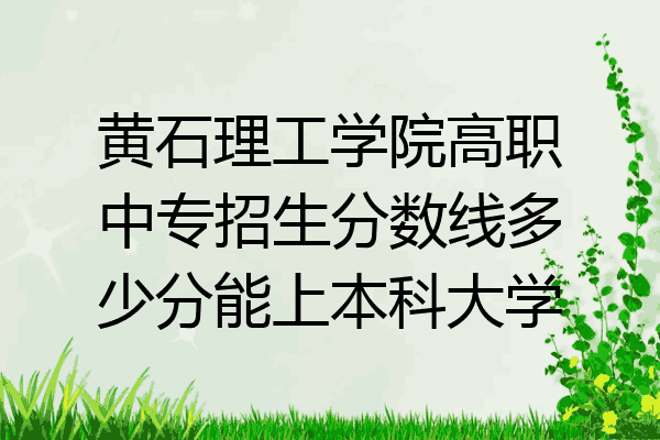 黄石理工学院高职中专招生分数线多少分能上本科大学