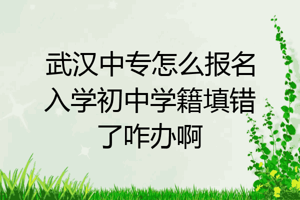 武汉中专怎么报名入学初中学籍填错了咋办啊