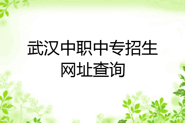 武汉中职中专招生网址查询