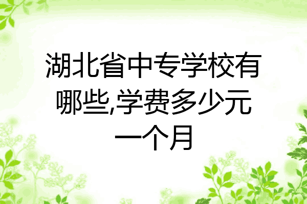湖北省中专学校有哪些,学费多少元一个月