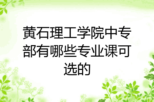 黄石理工学院中专部有哪些专业课可选的