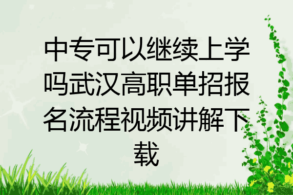 中专可以继续上学吗武汉高职单招报名流程视频讲解下载
