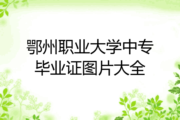 鄂州职业大学中专毕业证图片大全