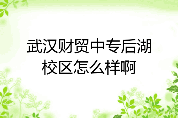 武汉财贸中专后湖校区怎么样啊