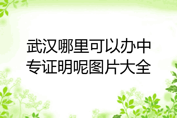 武汉哪里可以办中专证明呢图片大全