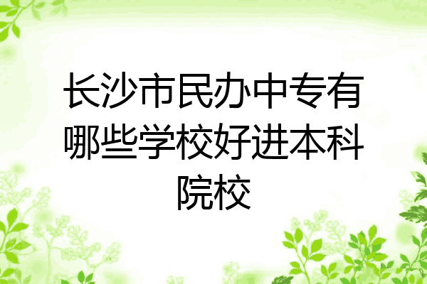 长沙市民办中专有哪些学校好进本科院校