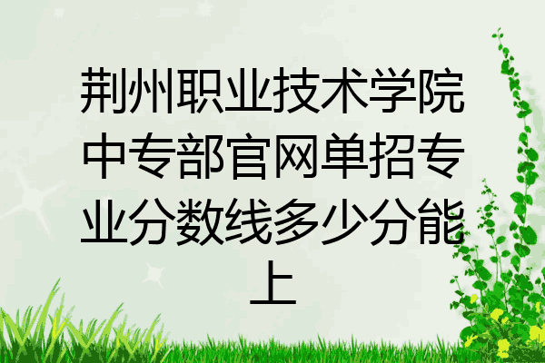 荆州职业技术学院中专部官网单招专业分数线多少分能上