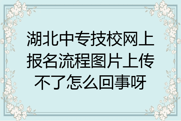 湖北中专技校网上报名流程图片上传不了怎么回事呀