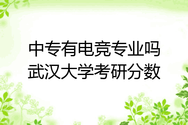 中专有电竞专业吗武汉大学考研分数