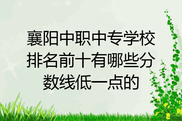 襄阳中职中专学校排名前十有哪些分数线低一点的