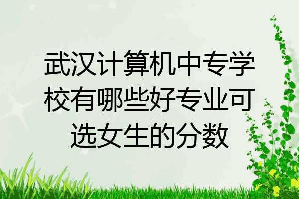 武汉计算机中专学校有哪些好专业可选女生的分数