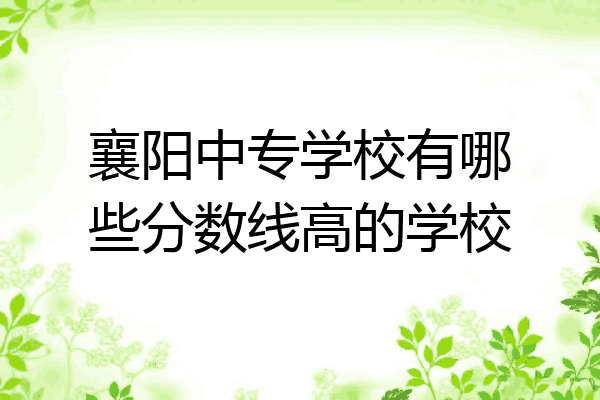 襄阳中专学校有哪些分数线高的学校