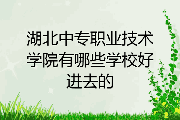 湖北中专职业技术学院有哪些学校好进去的