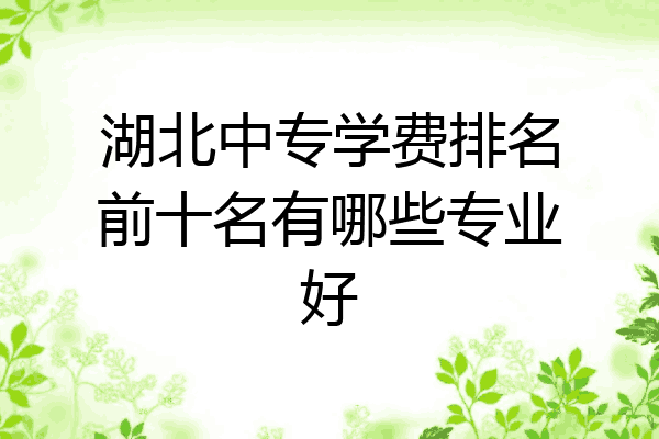 湖北中专学费排名前十名有哪些专业好