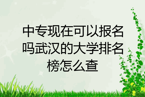 中专现在可以报名吗武汉的大学排名榜怎么查