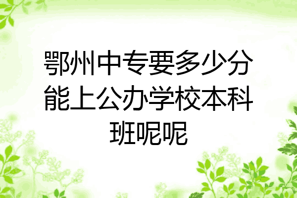 鄂州中专要多少分能上公办学校本科班呢呢