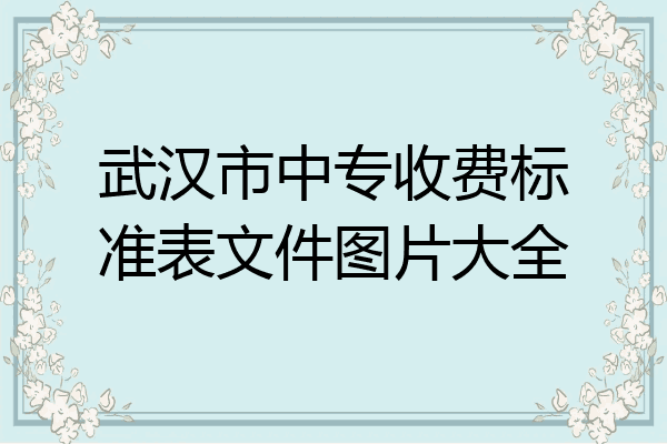 武汉市中专收费标准表文件图片大全