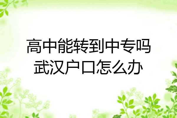 高中能转到中专吗武汉户口怎么办