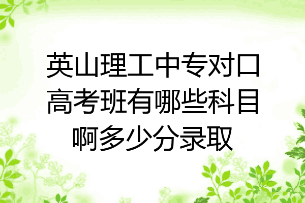 英山理工中专对口高考班有哪些科目啊多少分录取