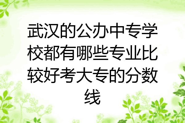 武汉的公办中专学校都有哪些专业比较好考大专的分数线