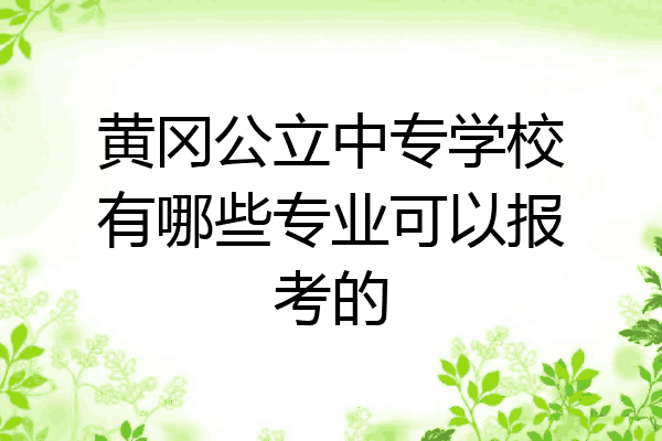 黄冈公立中专学校有哪些专业可以报考的