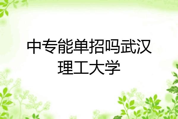 中专能单招吗武汉理工大学