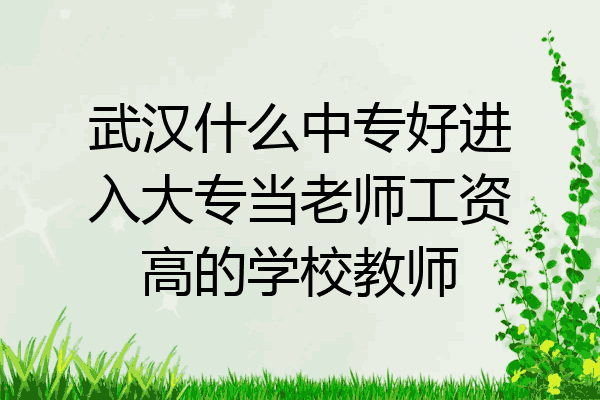 武汉什么中专好进入大专当老师工资高的学校教师