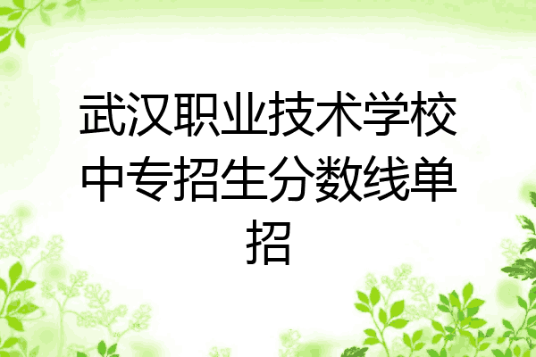 武汉职业技术学校中专招生分数线单招
