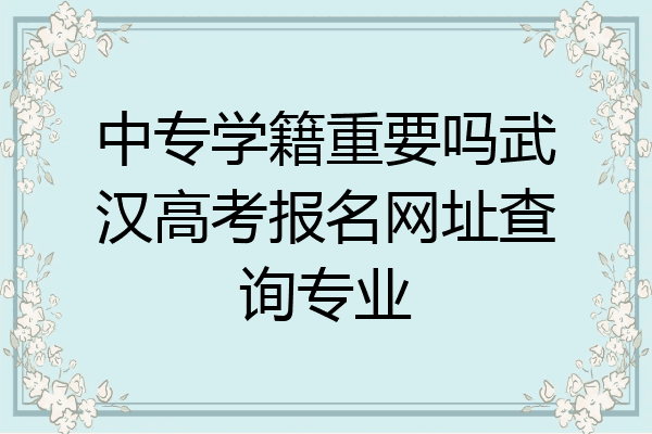 中专学籍重要吗武汉高考报名网址查询专业